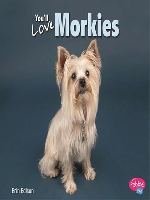 cover image of You'll Love Morkies